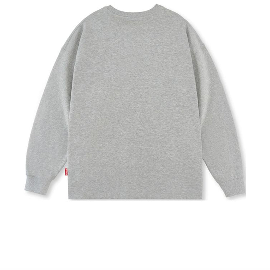 WYCN LONG SLEEVE GREY