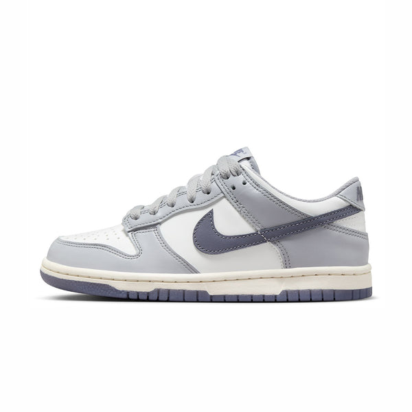 NIKE DUNK LOW PLATINUM TINT LIGHT CARBON GS (YOUTH) 2023