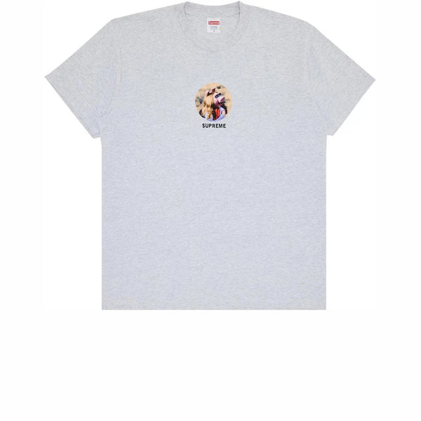 SUPREME MISS PIGGY TEE ASH GREY SS24